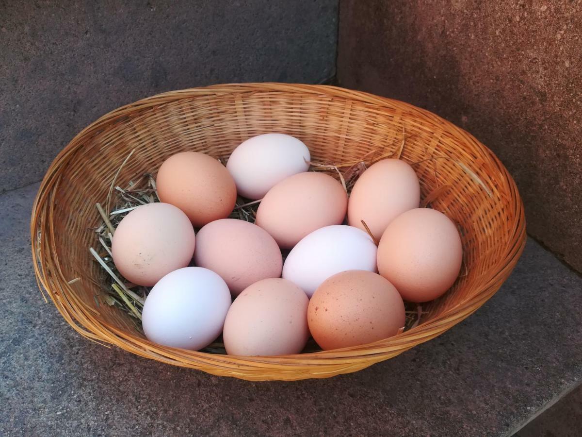 Il Baffetto Frühstückspension Rom